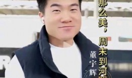 谁爆料的董宇辉最新消息,揭秘幕后爆料者揭示惊人真相！”