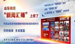 山东爆料最新新闻消息,揭秘重大事件背后真相
