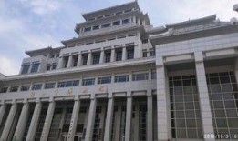 周口博物馆爆料案件最新,揭秘背后惊心动魄的真相