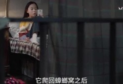 晨熙姐姐爆料视频大全最新,揭秘娱乐圈幕后真相