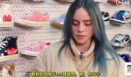 碧梨最新爆料视频大全集,揭秘明星幕后生活