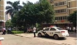 惠州良井爆料事件最新,真相揭开，网络舆论的力量与责任