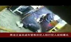 打架视频最新爆料大全