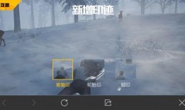 手游吃鸡最新爆料,全新玩法与角色，带你领略极致竞技体验！