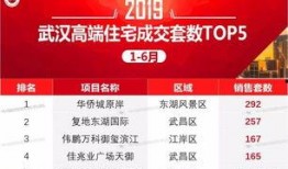 武汉爆料公司排行榜最新,揭秘行业翘楚，助力行业风向标