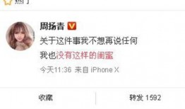 山东爆料最新新闻消息,揭秘重大事件背后真相