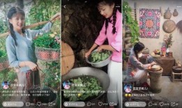 中国茶叶爆料视频最新版,传承与创新共舞