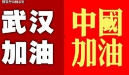 武汉爆料公司排行榜最新,揭秘行业翘楚，助力行业风向标