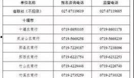 农商银行新爆料公告最新,揭秘最新公告背后的金融风云”