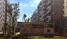 长春东大桥最新爆料电话,电话揭露惊人内幕