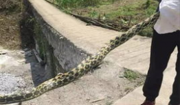 筠连网友爆料最新,揭秘当地最新热点事件！