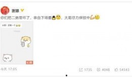 谢娜微信内容爆料最新版,最新版剧情大揭秘！