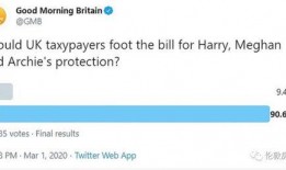 英国病毒爆料视频大全最新,最新视频大全深度解析