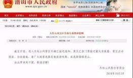 岳阳舆情爆料最新消息,突发事件引发热议，详情即将揭晓