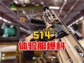 突围体验服最新爆料,揭秘神秘技能与战术革新
