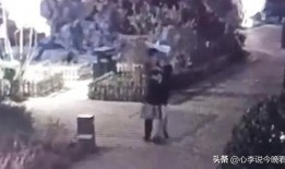 方山吃瓜最新事件爆料视频,最新爆料视频揭露惊人内幕