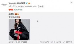 ip16最新爆料,揭秘行业变革背后的秘密与机遇